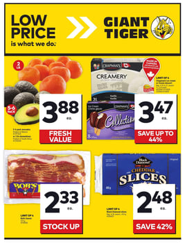 Giant Tiger - Western Canada - Weekly Flyer Specials